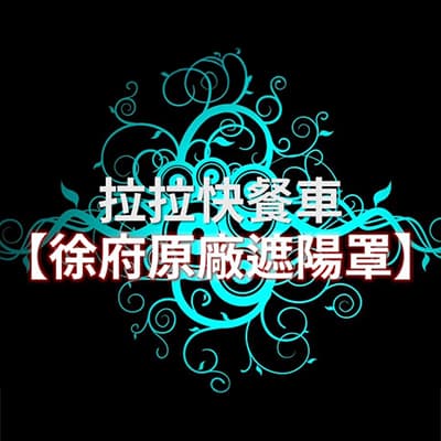 拉拉快餐車開箱：Tesla Model 3 汽車遮陽簾