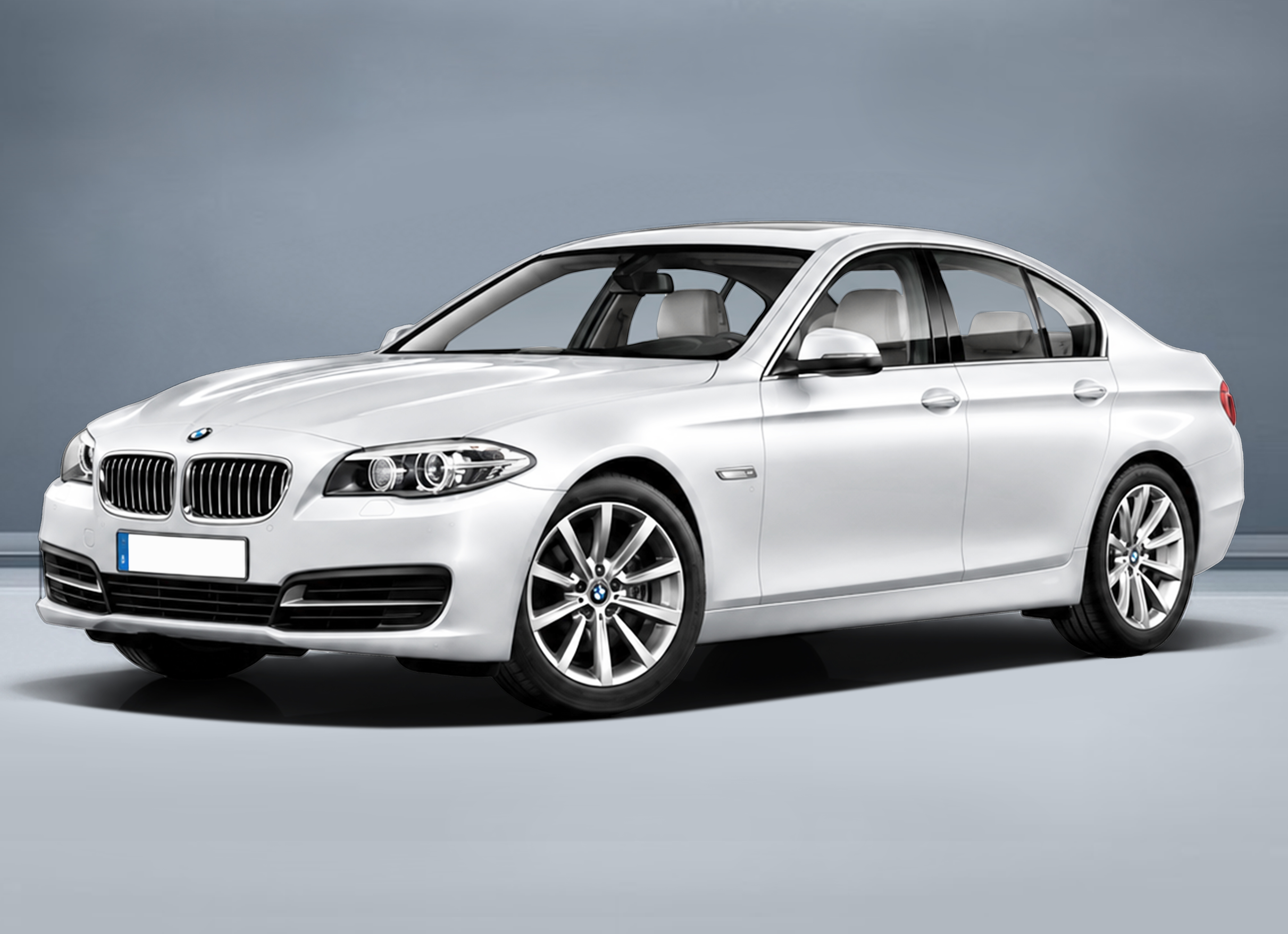 BMW 5 SERIES F10 汽車遮陽簾