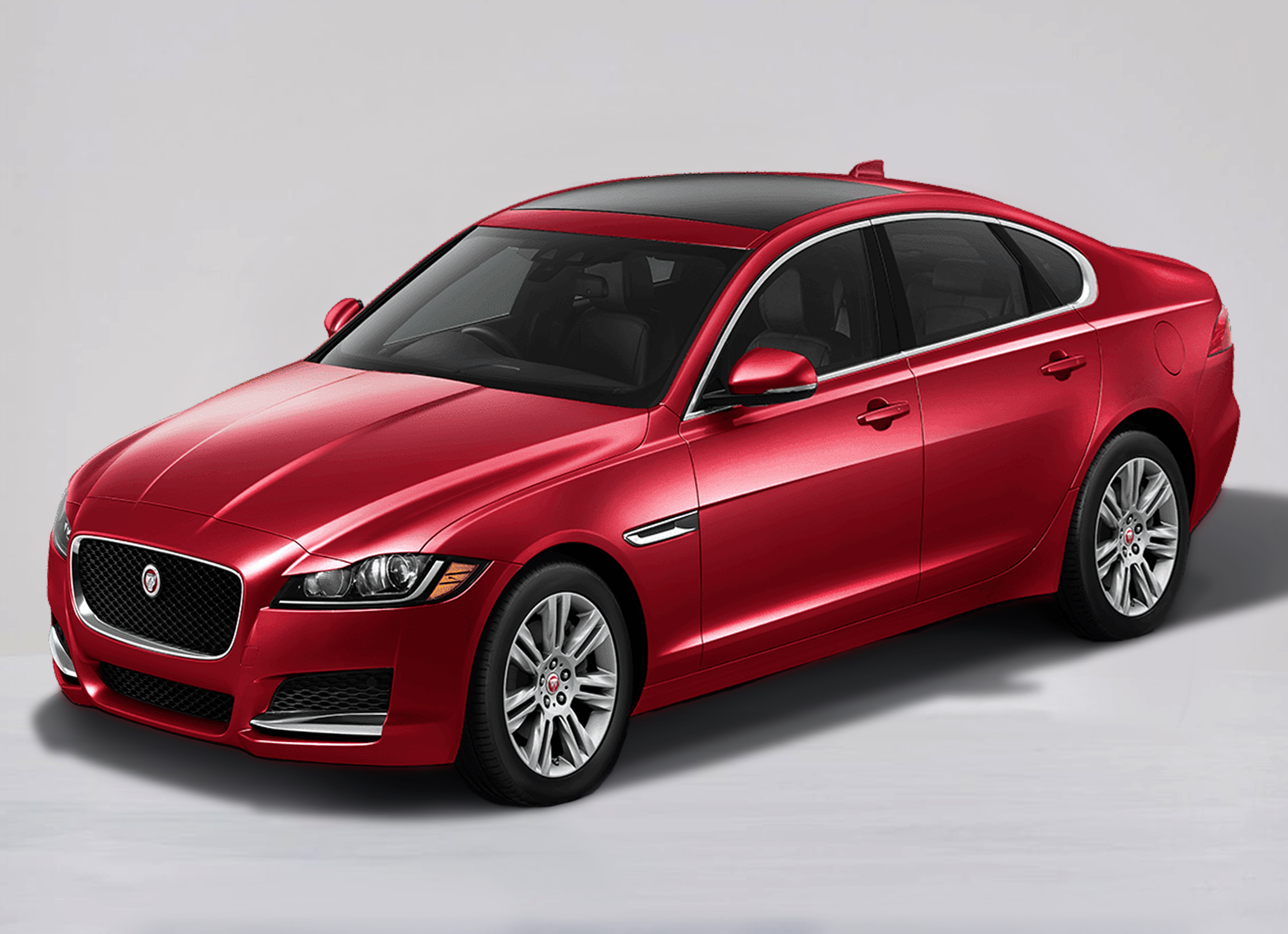 XF 260