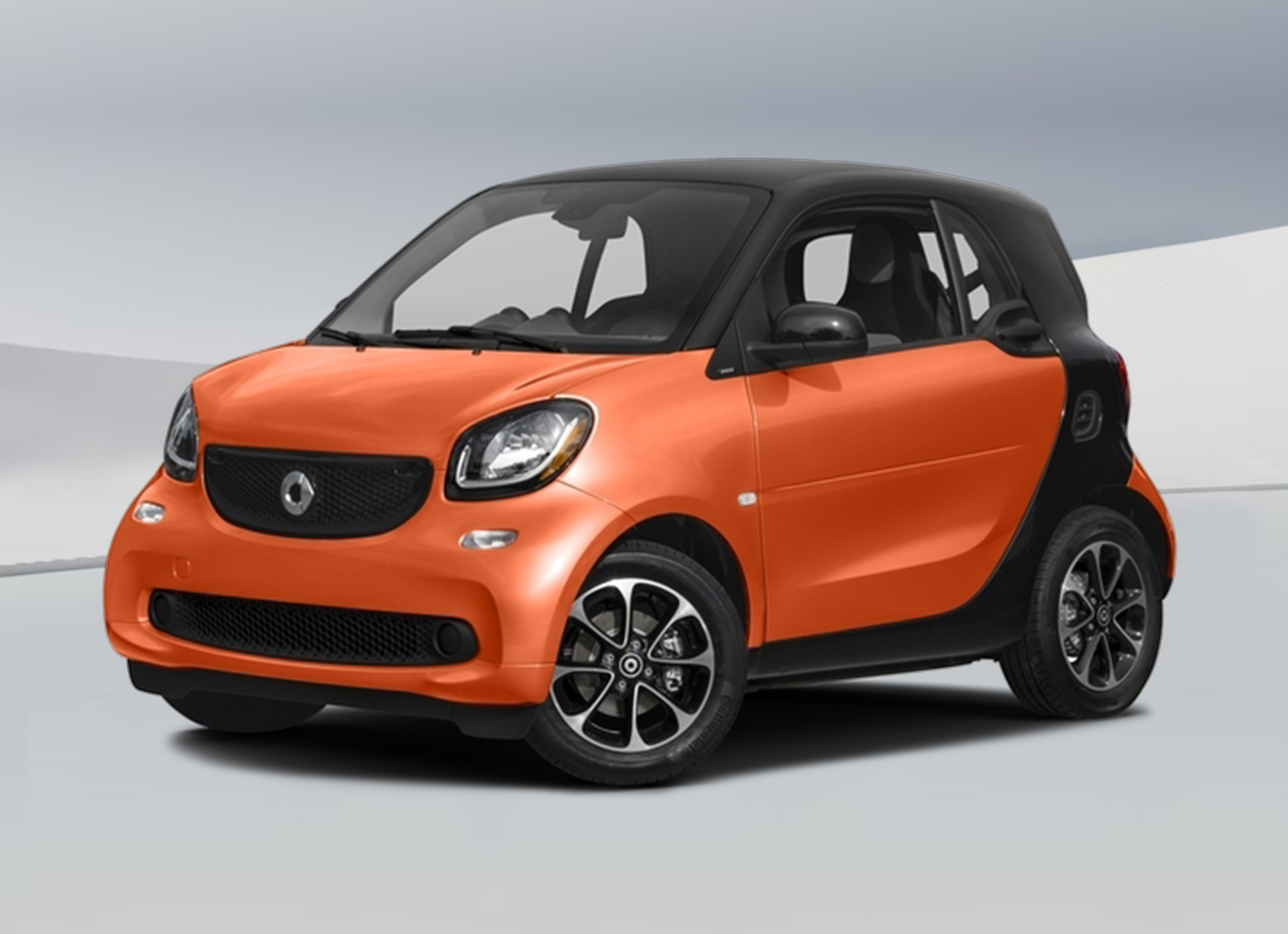 SMART FOR 2 汽車遮陽簾